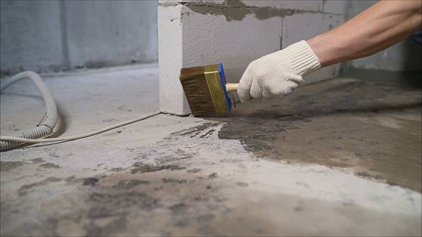SJ Waterproofing Pros Emergency Waterproofing coverage map for Nauvoo, AL and surrounding area